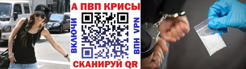 Альфа ПВП СК  Стародуб 