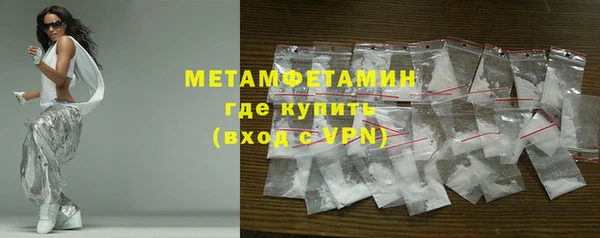 прущие грибы Магадан