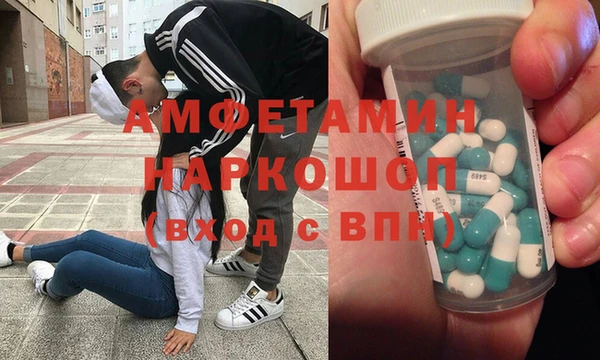 прущие грибы Магадан
