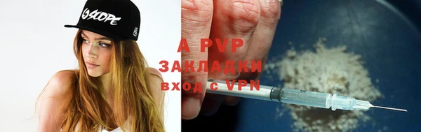 прущие грибы Магадан