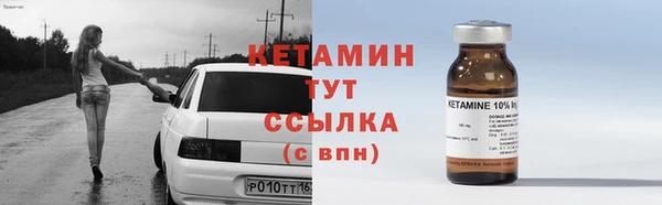 прущие грибы Магадан