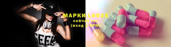 прущие грибы Магадан