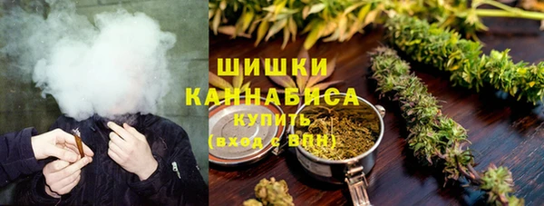прущие грибы Магадан