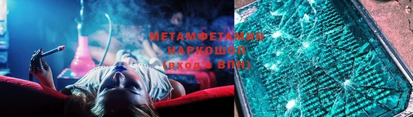 прущие грибы Магадан