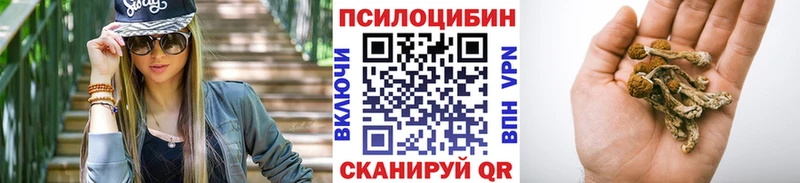 купить наркотики цена  Стародуб  МЕГА онион  Псилоцибиновые грибы Magic Shrooms 