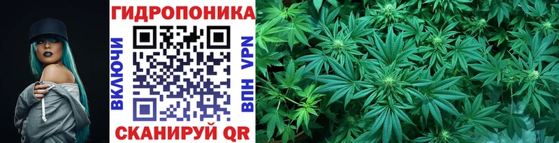 Марихуана Bruce Banner  Стародуб 